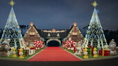 Decoração de Natal em Campos do Jordão com luzes, árvore gigante e Casa do Papai Noel.