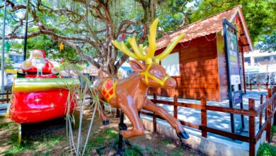 Enfeites do Natal 2024 deverão ser utilizados em 2025.