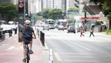 Previsão do tempo para sexta-feira (19), em SP: tempo firme