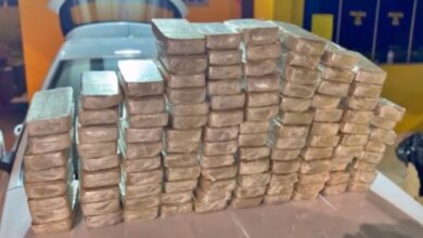 PRF apreende drogas em abordagem na Via Dutra em Caçapava