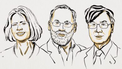 A Assembleia Nobel do Instituto Karolinska decidiu conceder o Prêmio Nobel de Fisiologia ou Medicina de 2025 a Mary E. Brunkow , Fred Ramsdell e Shimon Sakaguchi “por suas descobertas sobre a tolerância imunológica periférica”.