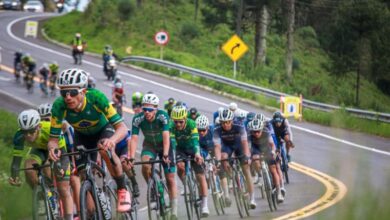 Pelotão durante a Volta Ciclística de Santa Catarina 2025 atravessando a Serra do Rio do Rastro