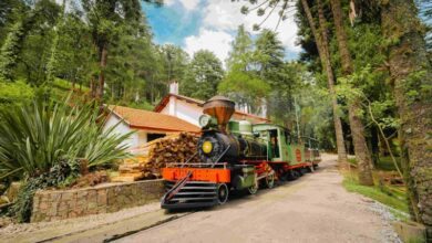 Maria Fumaça decorada para o Natal no Parque Bambuí em Campos do Jordão