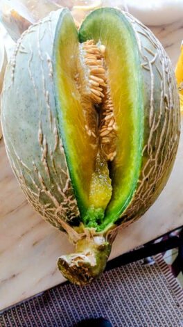 Melão em casca de carvalho para terminar o magusto