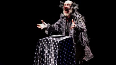 Espetáculo Animo Festas