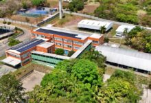 Alfeu Souza / Fotógrafo Independente