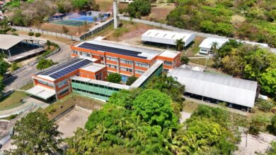 Alfeu Souza / Fotógrafo Independente