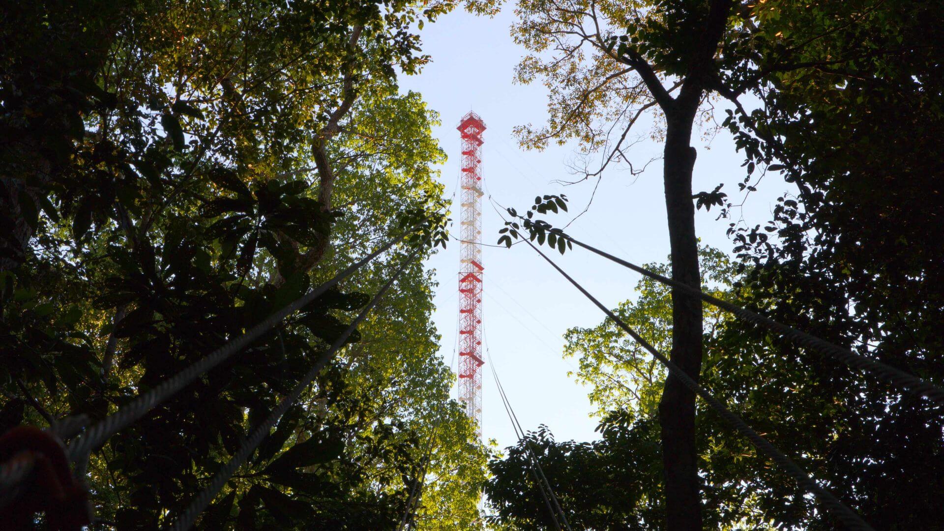 Centro de Memória Fapesp lança exposição virtual Ciência na Amazônia: história, desafios e descobertas