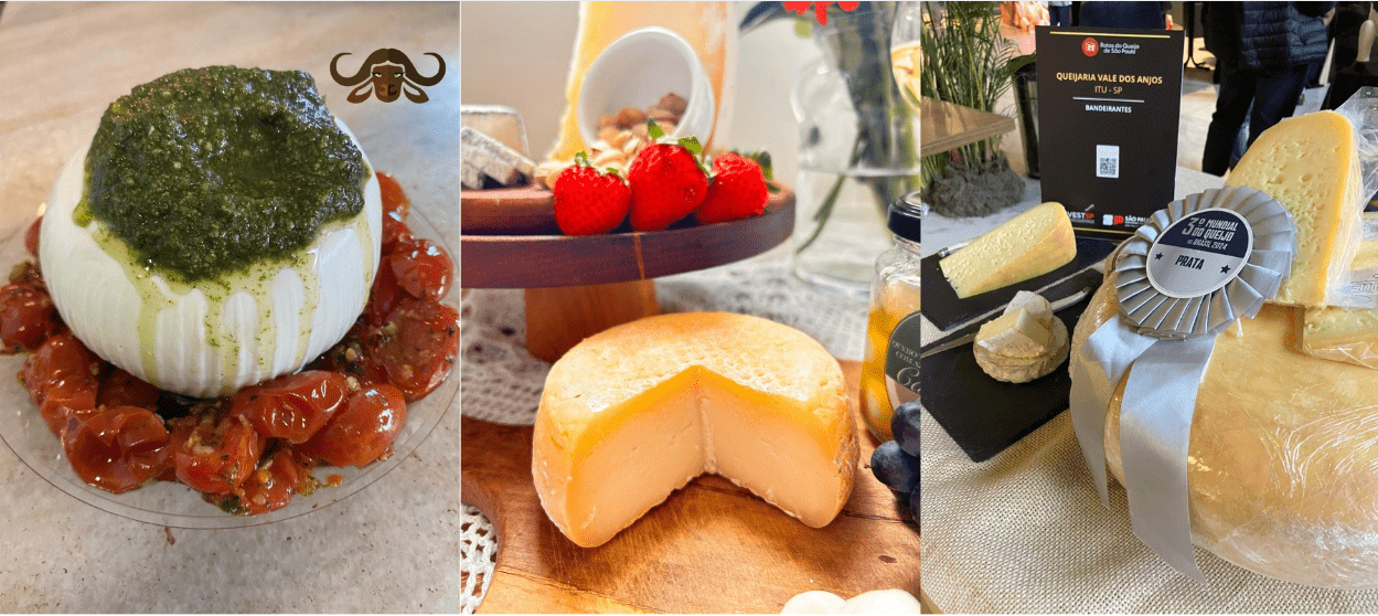 Rota do Queijo: 6 produtores artesanais perto de SP para visitar em um bate e volta