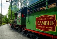 Maria Fumaça decorada para o Natal no Parque Bambuí em Campos do Jordão