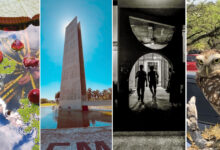 Concurso de fotografia premia imagens do cotidiano e da paisagem do campus da USP no Butantã; confira os vencedores