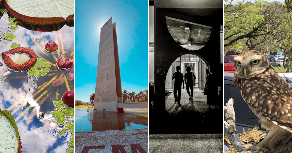 Concurso de fotografia premia imagens do cotidiano e da paisagem do campus da USP no Butantã; confira os vencedores