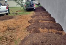 Canteiros sendo preparados.