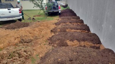 Canteiros sendo preparados.