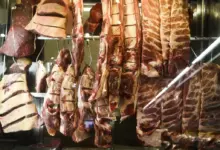 Carne Bovina