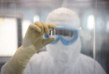 Cientistas que trabalharam no desenvolvimento da vacina contra dengue contam como foi a jornada