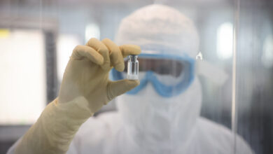 Cientistas que trabalharam no desenvolvimento da vacina contra dengue contam como foi a jornada