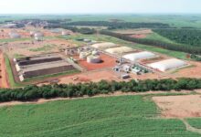 São Paulo avança na descarbonização e se prepara para superar 700 mil m³/dia de biometano até 2026