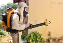 Agentes de Controle de Vetores combatem focos do mosquito da dengue em Pindamonhangaba