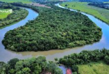 Rio Paraíba do Sul no trecho do Bosque da Princesa em Pindamonhangaba.
