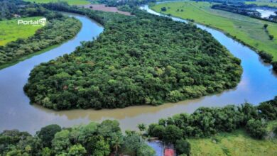 Rio Paraíba do Sul no trecho do Bosque da Princesa em Pindamonhangaba.