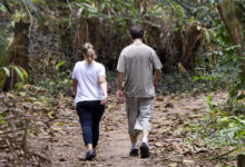 Asma: programa da USP promove mudança de comportamento, estimula atividade física e reduz sintomas