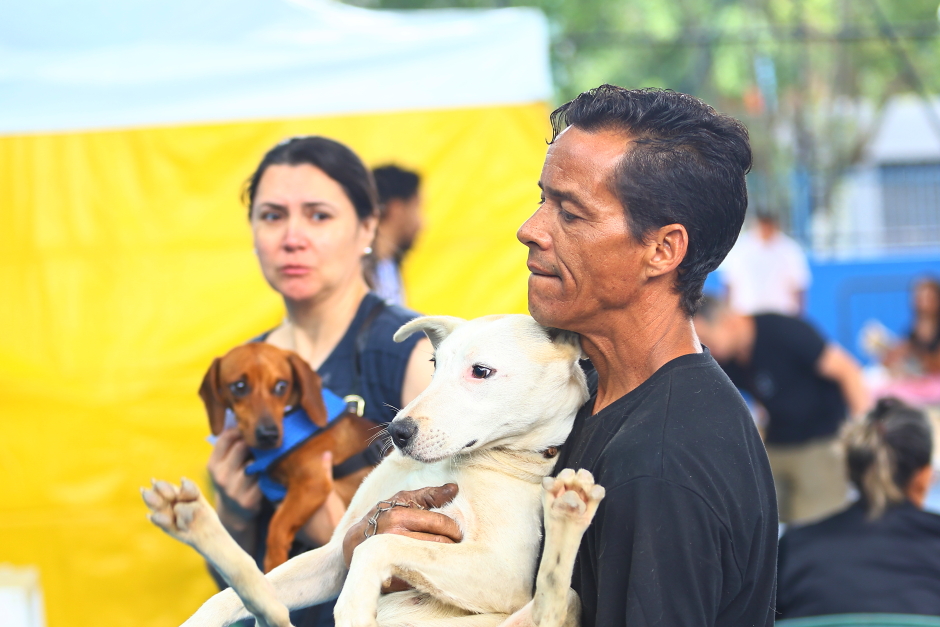 Das 1.000 cirurgias que serão realizadas, 600 vagas são para os caninos