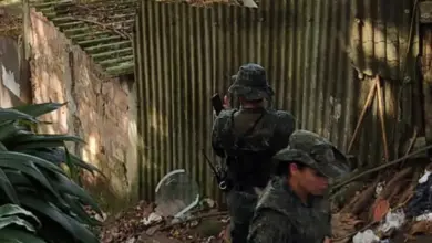 Operações Escudo e Verão violaram direitos humanos, dizem entidades