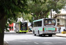 Em 2025, o município incorporou 134 novos ônibus para a renovação da frota. Com isso, desde 2024, já são 193 veículos novos integrados ao sistema