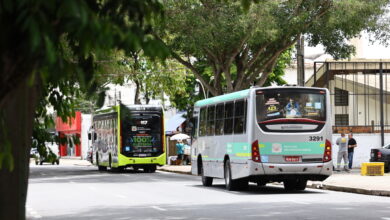 Em 2025, o município incorporou 134 novos ônibus para a renovação da frota. Com isso, desde 2024, já são 193 veículos novos integrados ao sistema