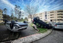 Foram muitas as viaturas destruídas pela queda de árvores Foto Região de Leiria