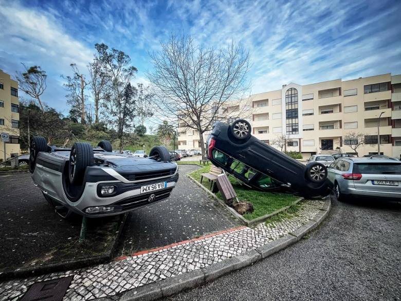 Foram muitas as viaturas destruídas pela queda de árvores Foto Região de Leiria
