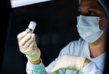 Butantan inicia recrutamento de voluntários para ensaio clínico da vacina da dengue em idosos