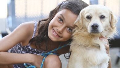 Amor que transforma vidas. A Feira de Adoção de Pets reuniu famílias e animais prontos para um novo começo