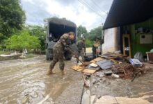Militares do Exército atuam na limpeza de áreas atingidas pela chuva em Taubaté