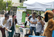 Vacinação e ações educativas gratuitas unem pets e seus tutores em evento no campus Butantã da USP