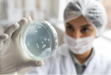 Edital seleciona projetos de inovação desenvolvidos por pós-graduandos da USP